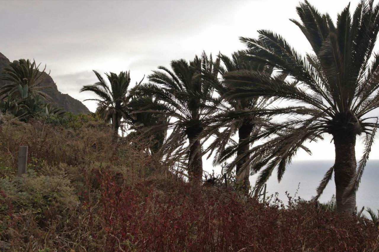 Oasis Atlantico: Rincon Secreto Al Pie De Los Senderos Azano Zewnętrze zdjęcie