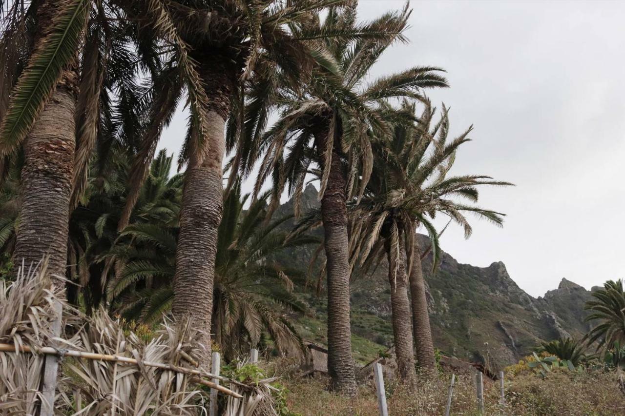 Oasis Atlantico: Rincon Secreto Al Pie De Los Senderos Azano Zewnętrze zdjęcie